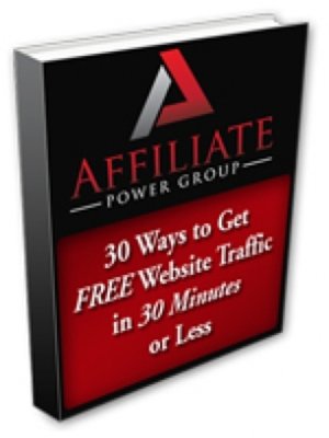 cover image of 30 Ways to Get FREE Website Traffic in 30 Minutes or Less